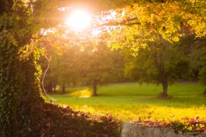 Local parks should be given the same protection as national parks, says charity