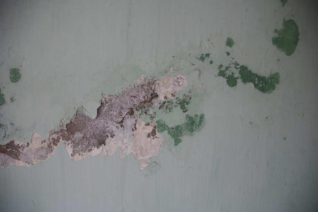 Housing standards reviewed amid growing safety concerns