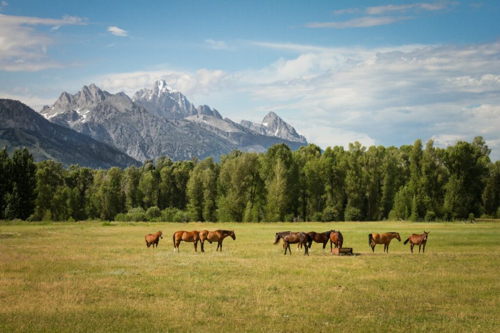 New tech support announced to help power-up rural communities