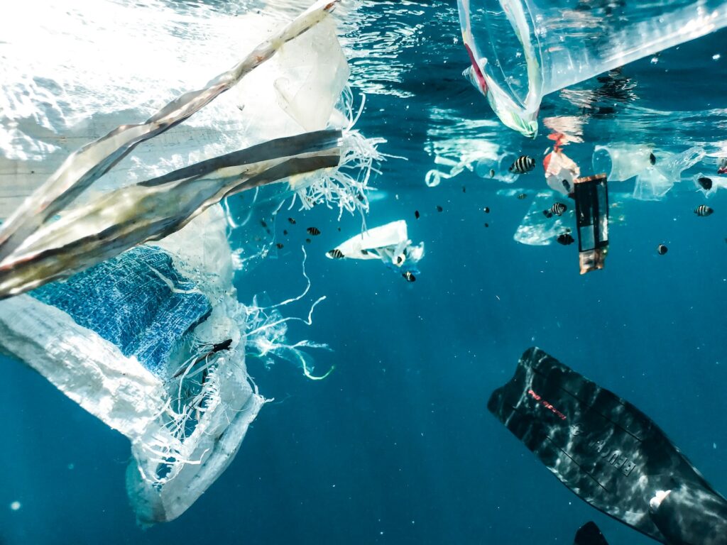 Sea pollution to be tackled through new Plymouth solar power project