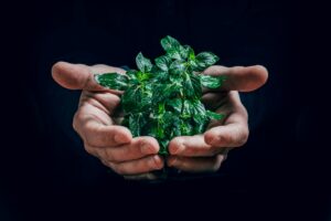 Economy versus ecology: the battle hindering development progress