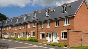 Six ways housebuilders can boost biodiversity in new developments